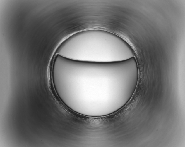 X0000094321032200711021109