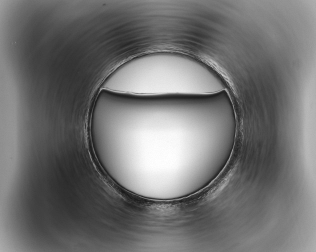 X0000094321033200711021109