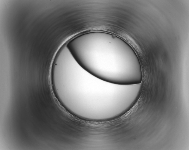 X0000094321036200711021109