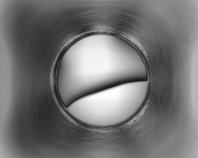 X0000094321037200711021109