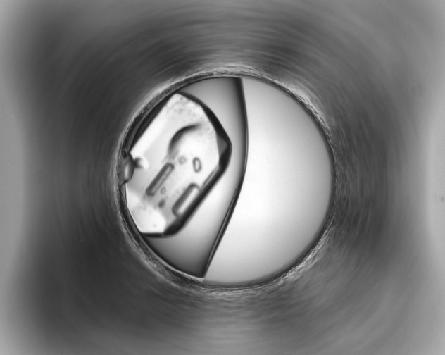 X0000094321038200711021109