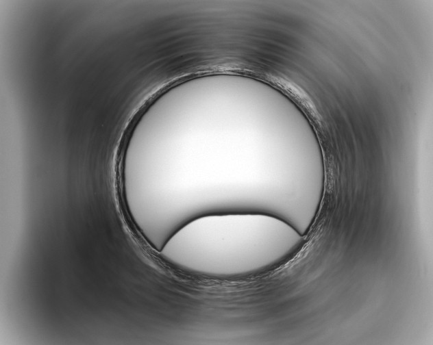 X0000094321039200711021109