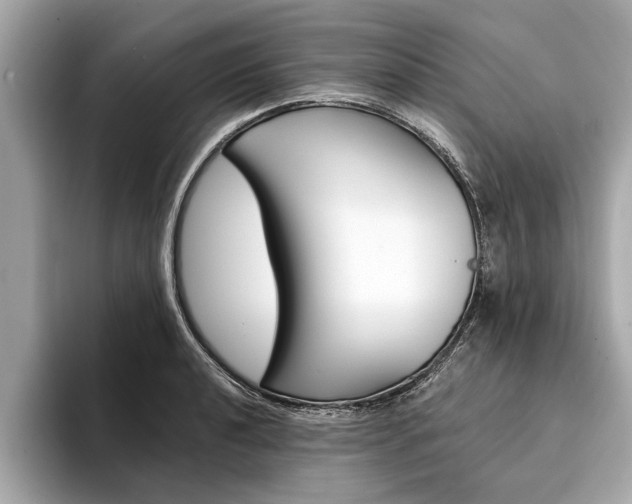 X0000094321040200711021109