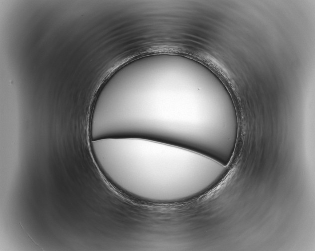 X0000094321041200711021109