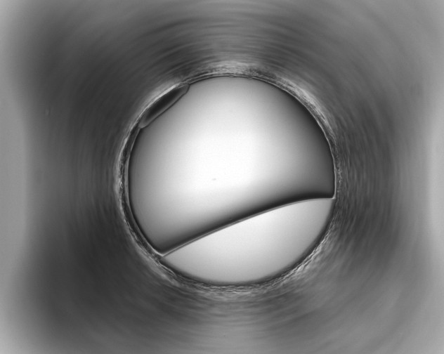 X0000094321042200711021109