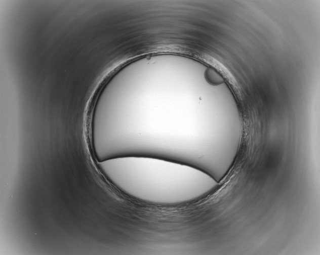 X0000094321043200711021109