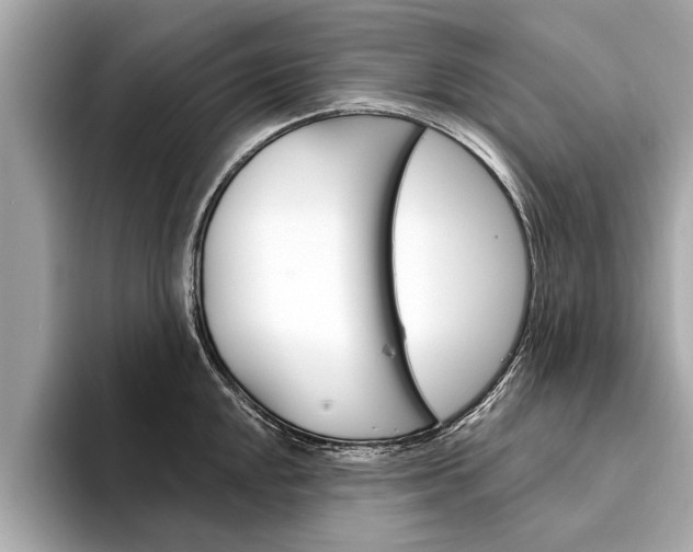 X0000094321048200711021109