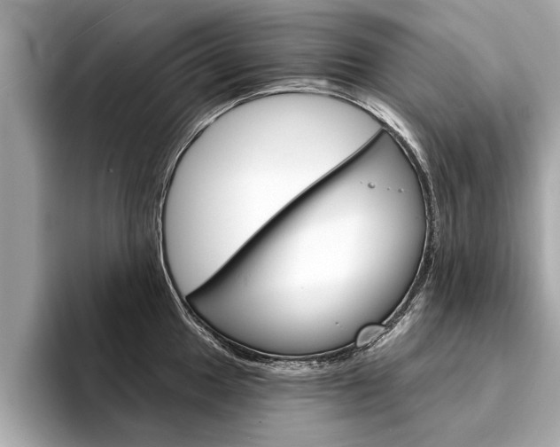 X0000094321049200711021109