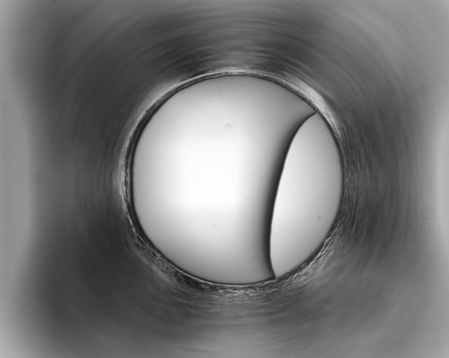 X0000094321051200711021109