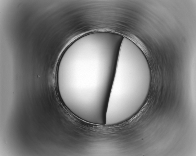 X0000094321052200711021109