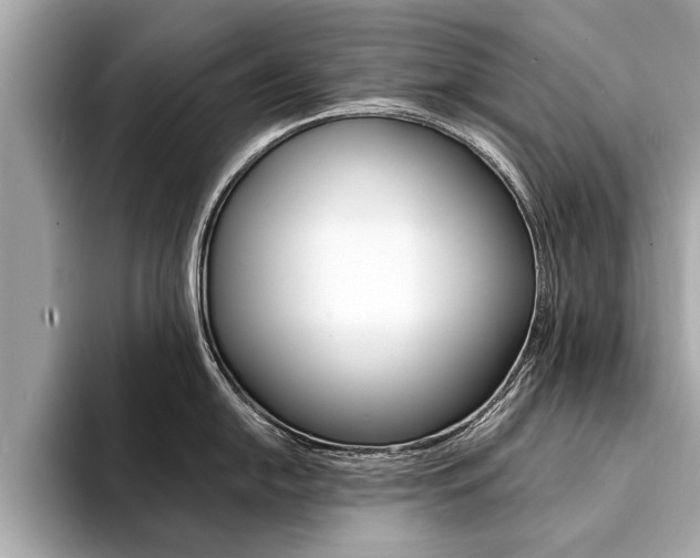 X0000094321054200711021109