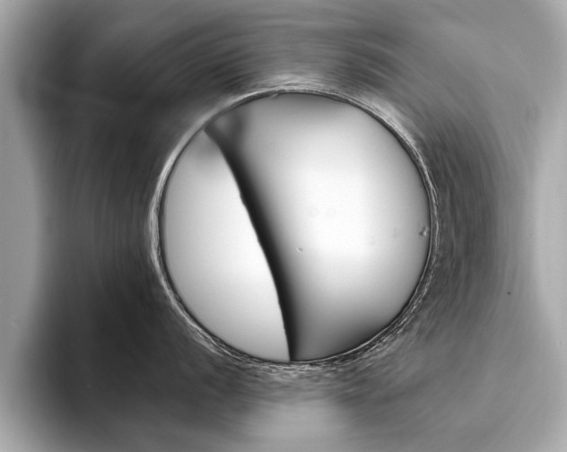 X0000094321056200711021109