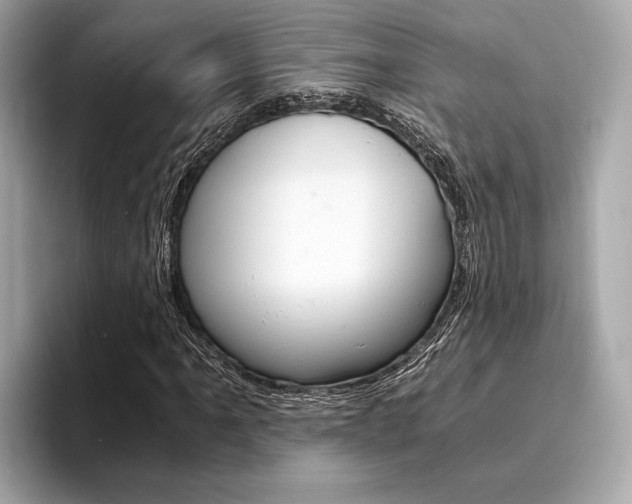 X0000094321061200711021109
