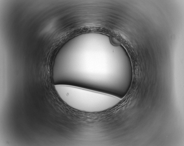X0000094321062200711021109