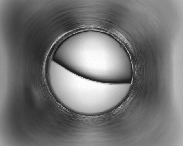 X0000094321068200711021109