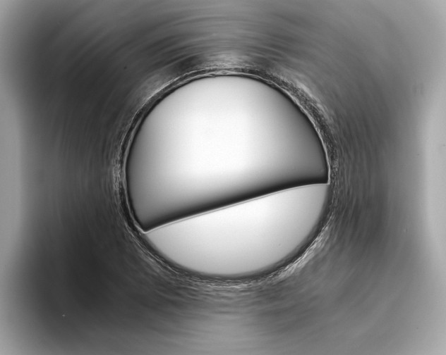 X0000094321073200711021108