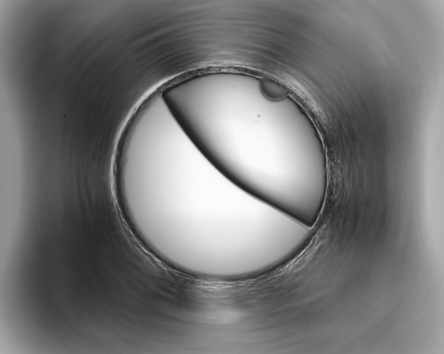 X0000094321076200711021108