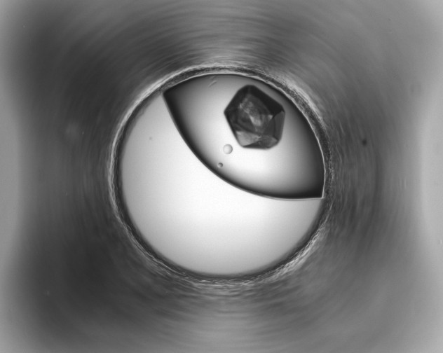 X0000094321077200711021108