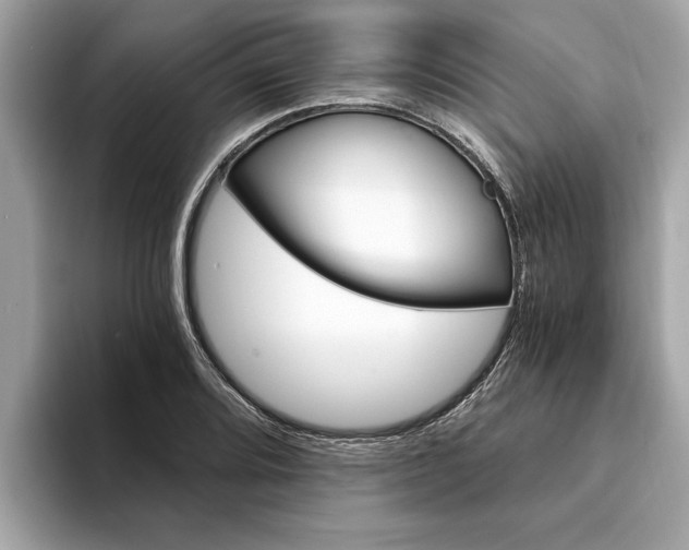 X0000094321080200711021108