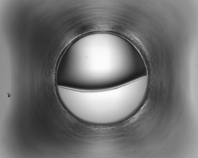 X0000094321081200711021108