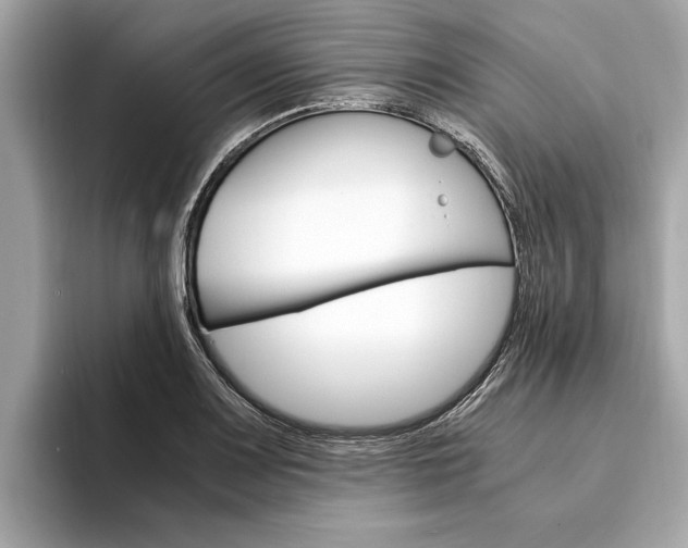 X0000094321083200711021108