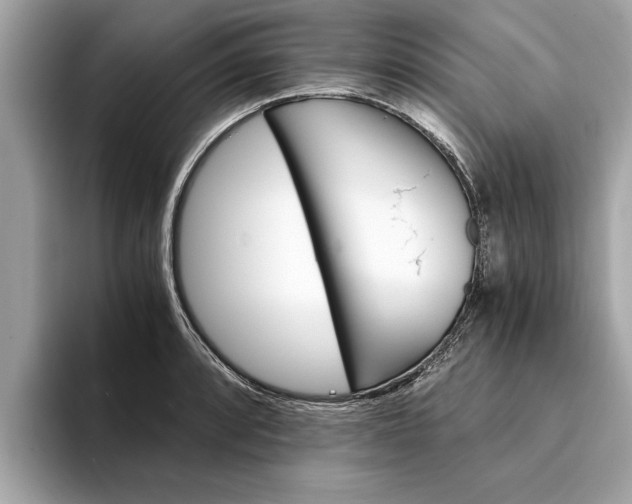 X0000094321088200711021108
