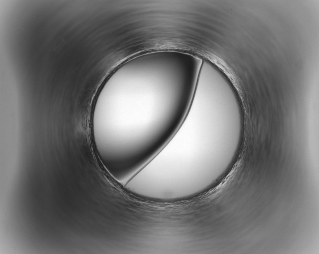 X0000094321089200711021108
