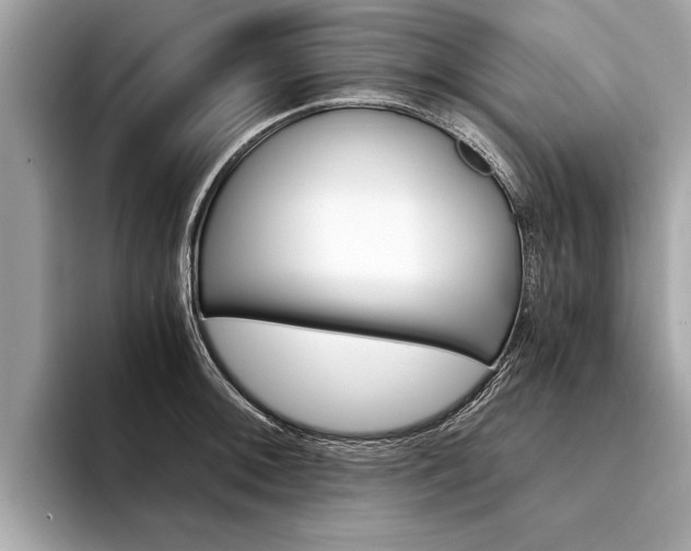 X0000094321092200711021108