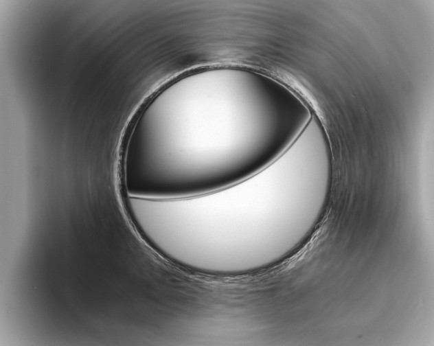 X0000094321093200711021108