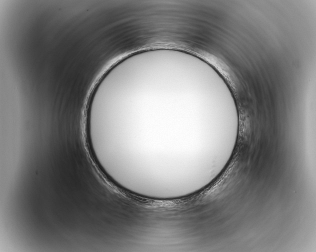 X0000094321094200711021108