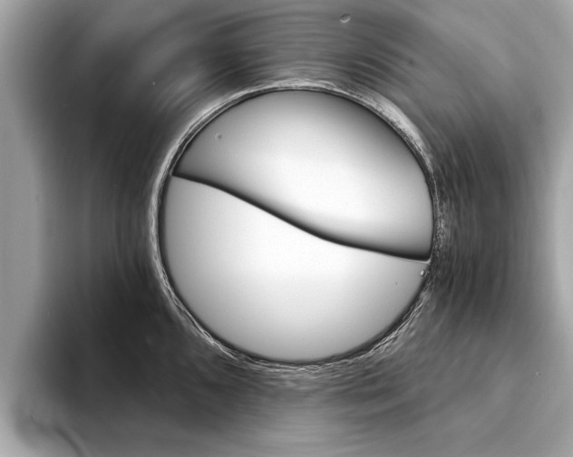 X0000094321096200711021108