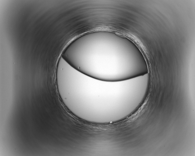 X0000094321097200711021108