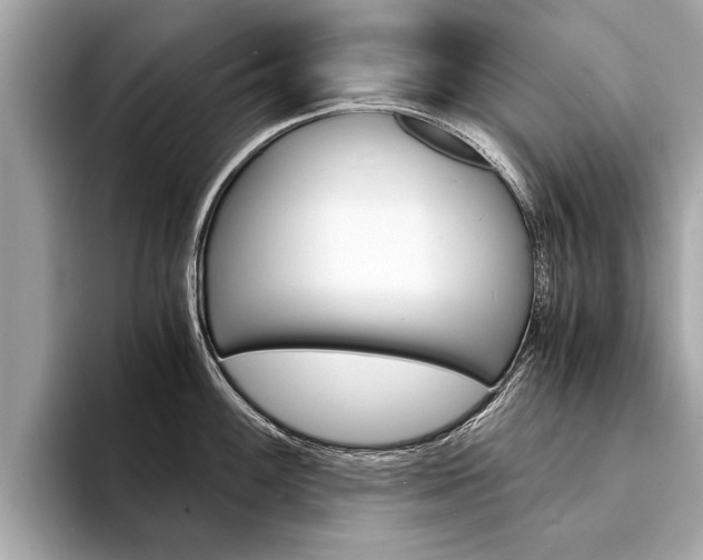 X0000094321100200711021108
