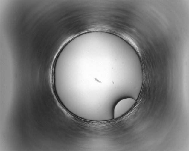 X0000094321103200711021108
