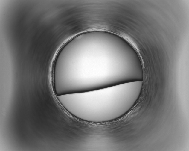 X0000094321104200711021108