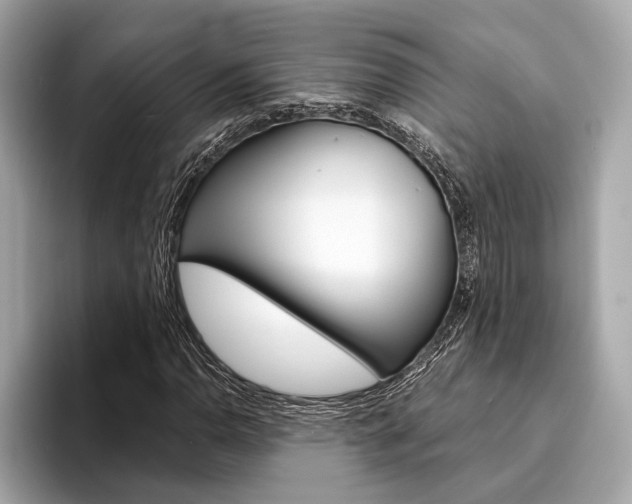 X0000094321110200711021108