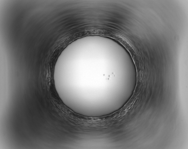 X0000094321111200711021108