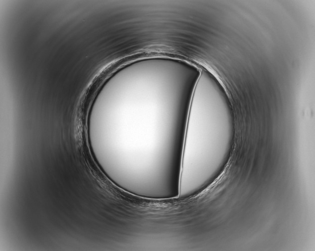X0000094321115200711021108
