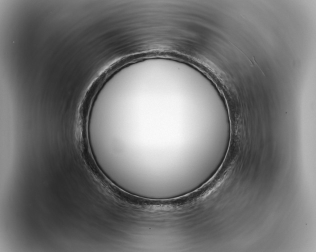 X0000094321118200711021108