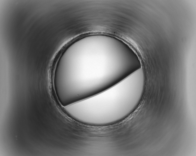 X0000094321120200711021108