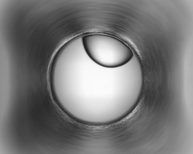 X0000094321122200711021108