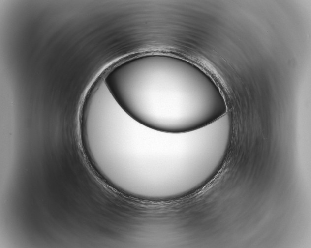 X0000094321124200711021108