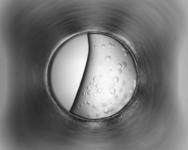 X0000094321125200711021108