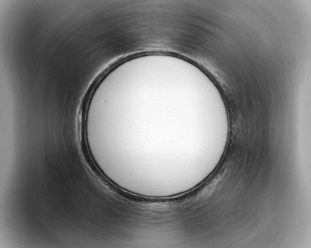 X0000094321126200711021108