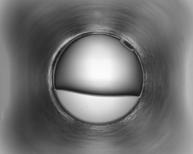 X0000094321128200711021108