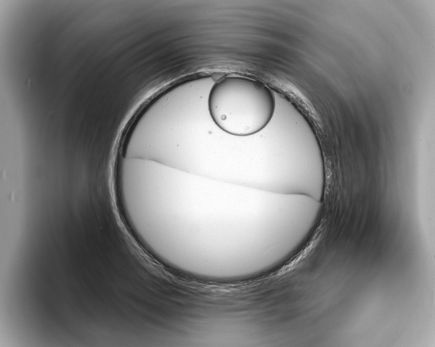 X0000094321130200711021108