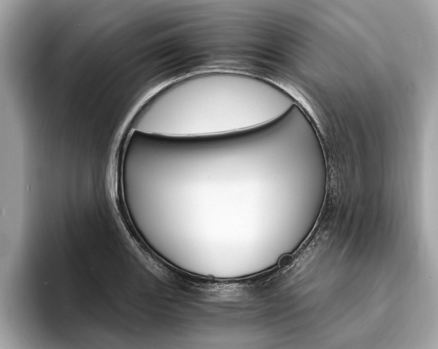 X0000094321131200711021108