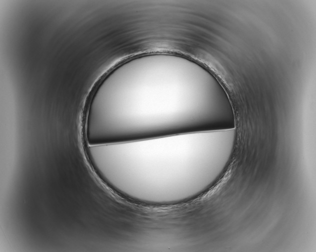 X0000094321134200711021108