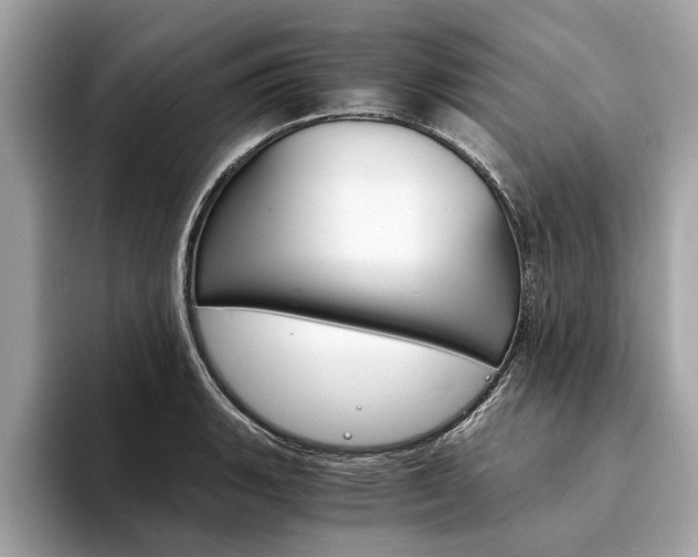 X0000094321135200711021108