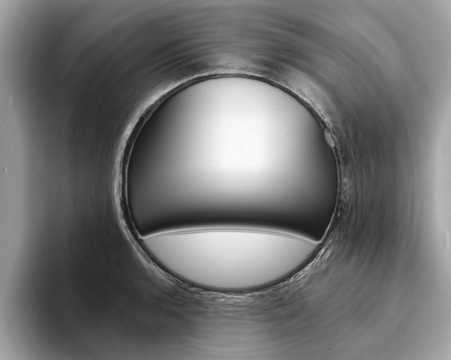 X0000094321136200711021108